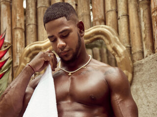 FraiderBrown